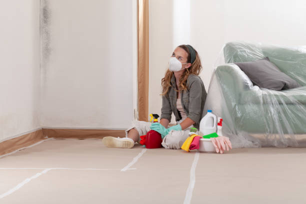 Reliable Mold Cleanup contractor in Willow Springs, IL by WQB Mold Removal